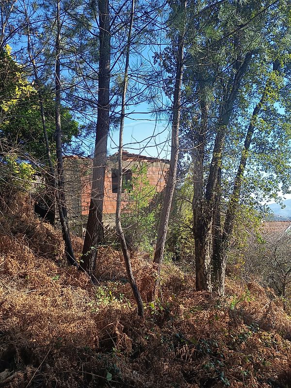 Moradia T1 à venda em Teixeira e Teixeiró, Baião — foto 6