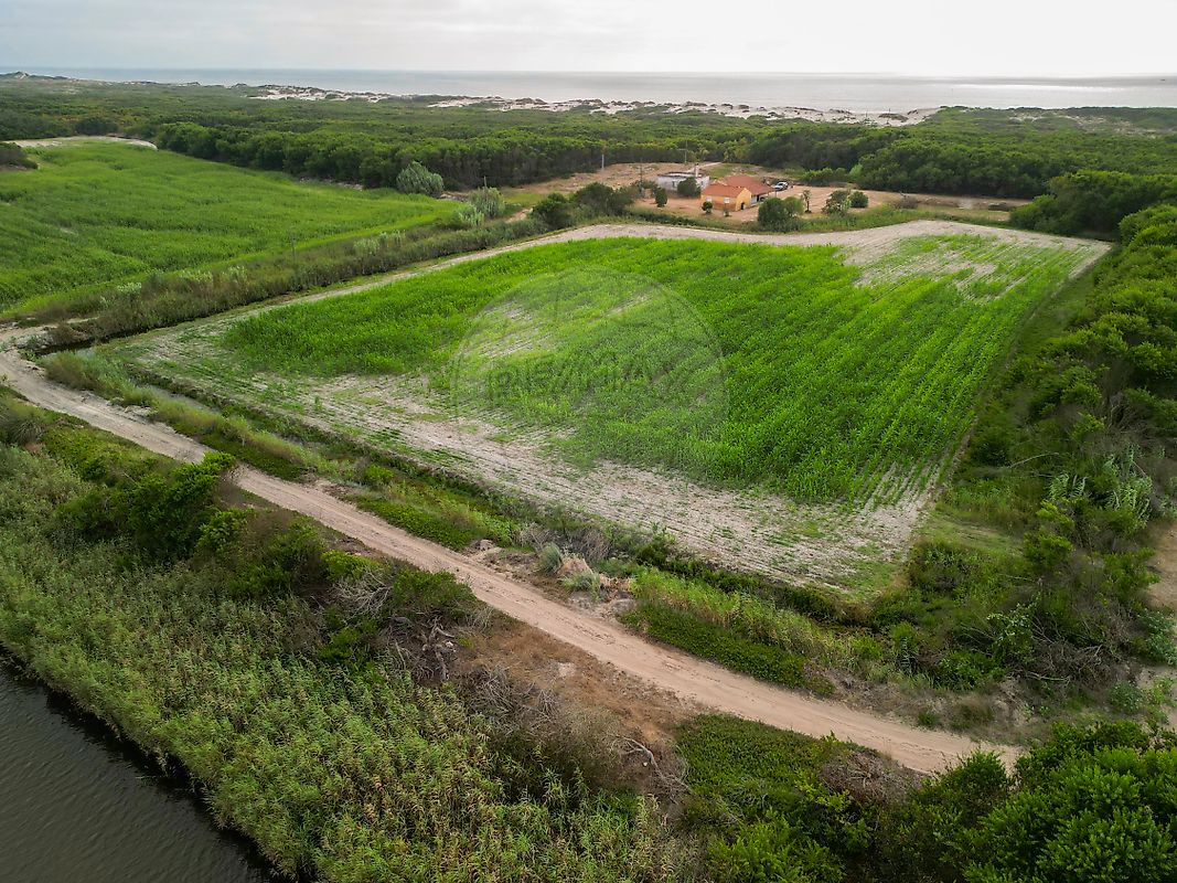 Moradia T3 à venda em Praia de Mira, Mira — foto 18