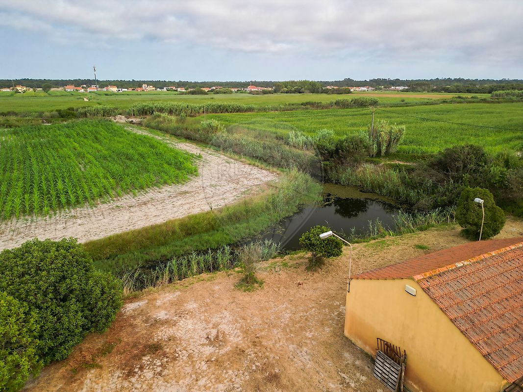 Moradia T3 à venda em Praia de Mira, Mira — foto 9