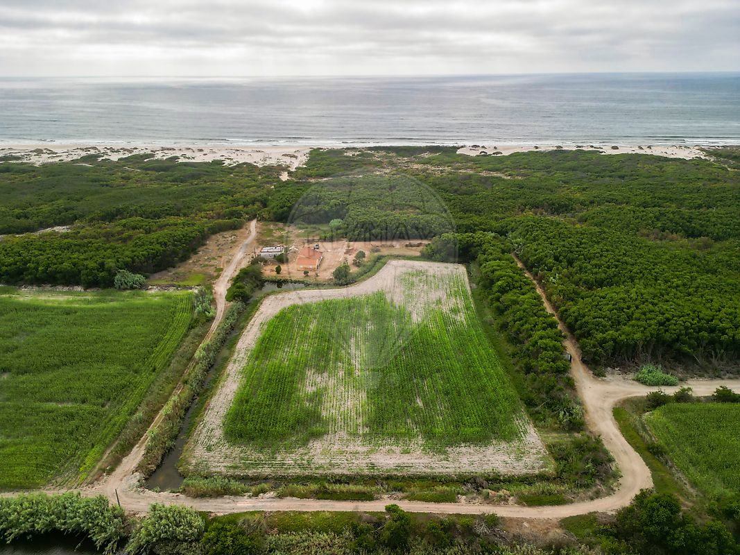 Moradia T3 à venda em Praia de Mira, Mira — foto 16