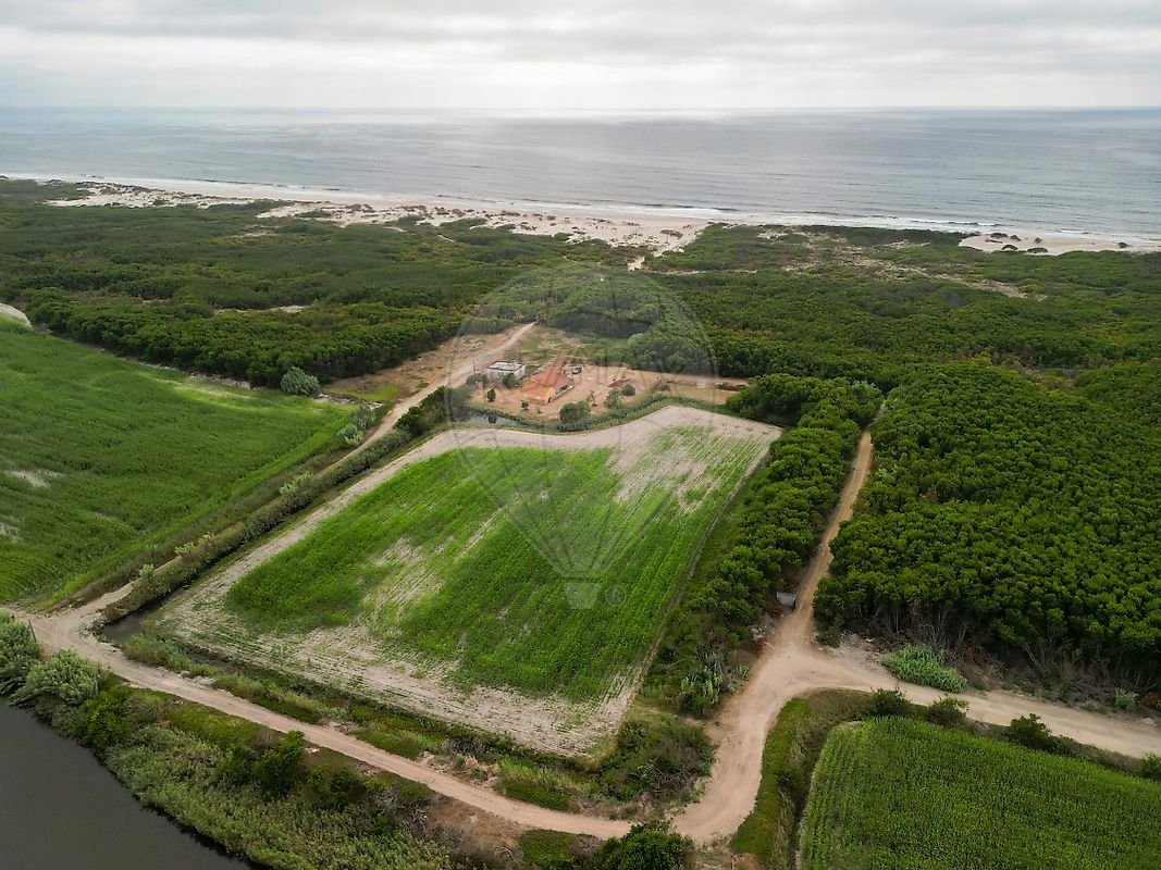 Moradia T3 à venda em Praia de Mira, Mira — foto 14