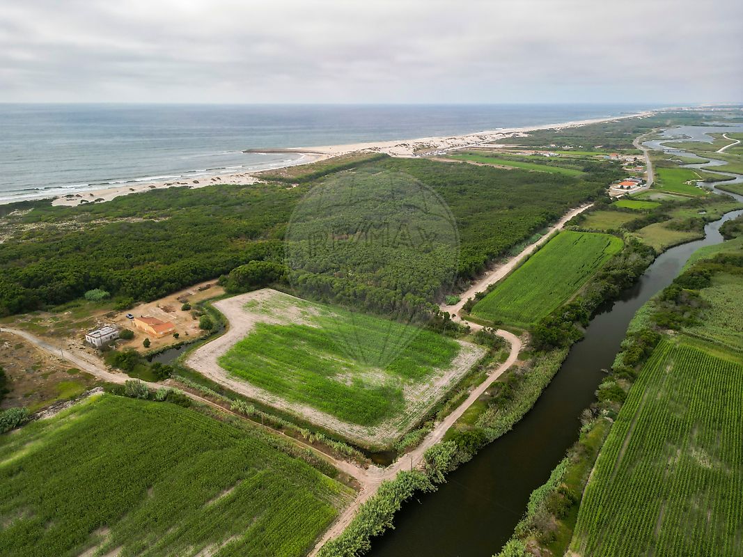 Moradia T3 à venda em Praia de Mira, Mira — foto 6