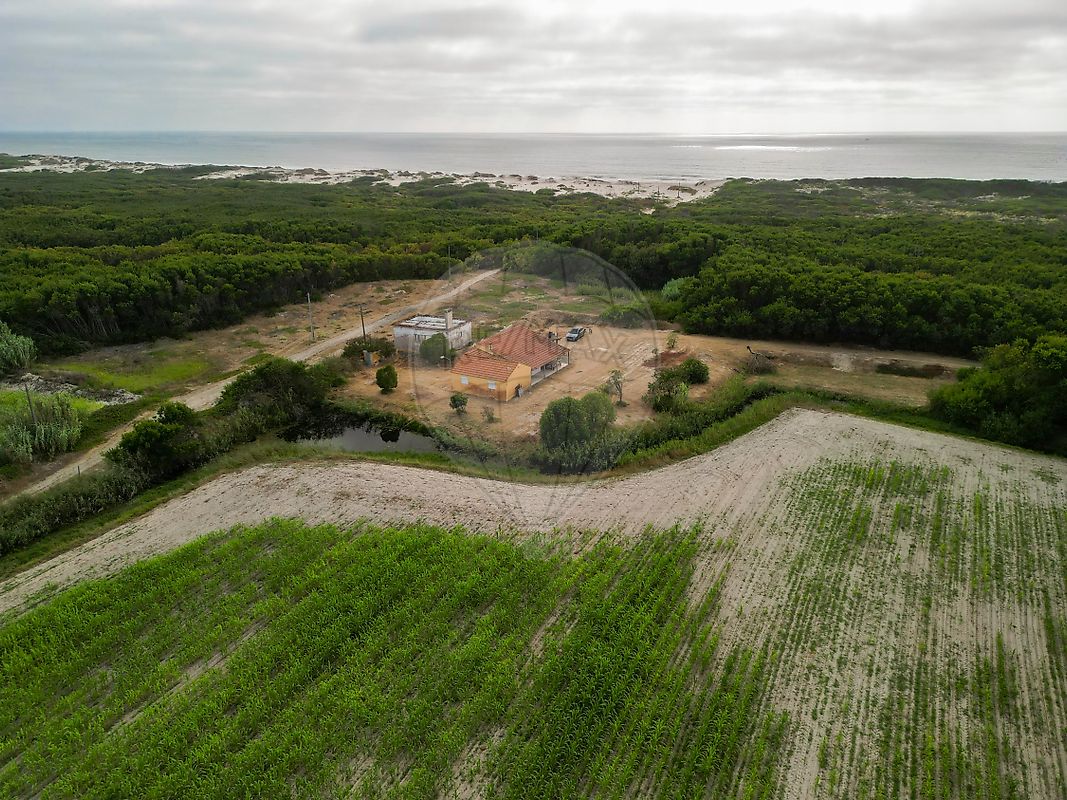 Moradia T3 à venda em Praia de Mira, Mira — foto 7