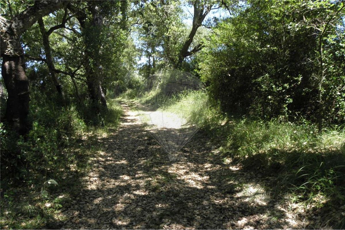 TERRENO PLANO COM A ÁREA DE 21.120 M2 