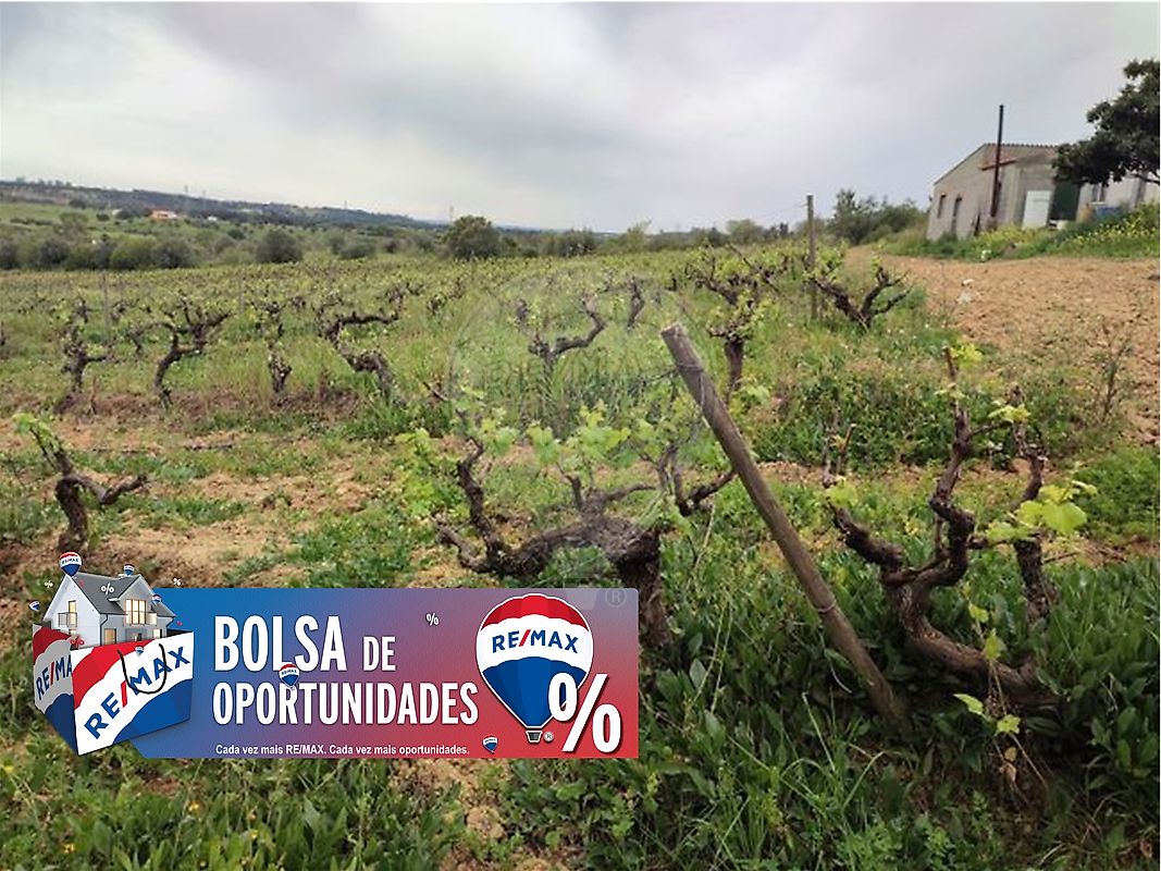 Terreno à venda em Casével