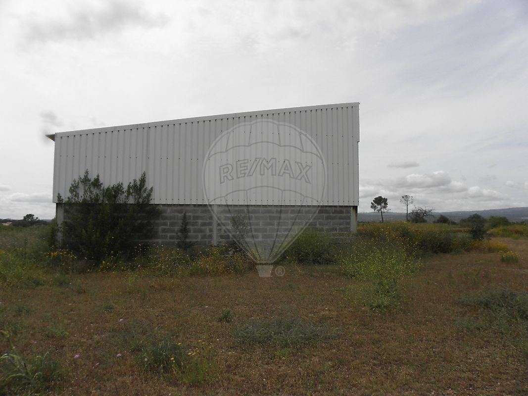 listing-picture-0
