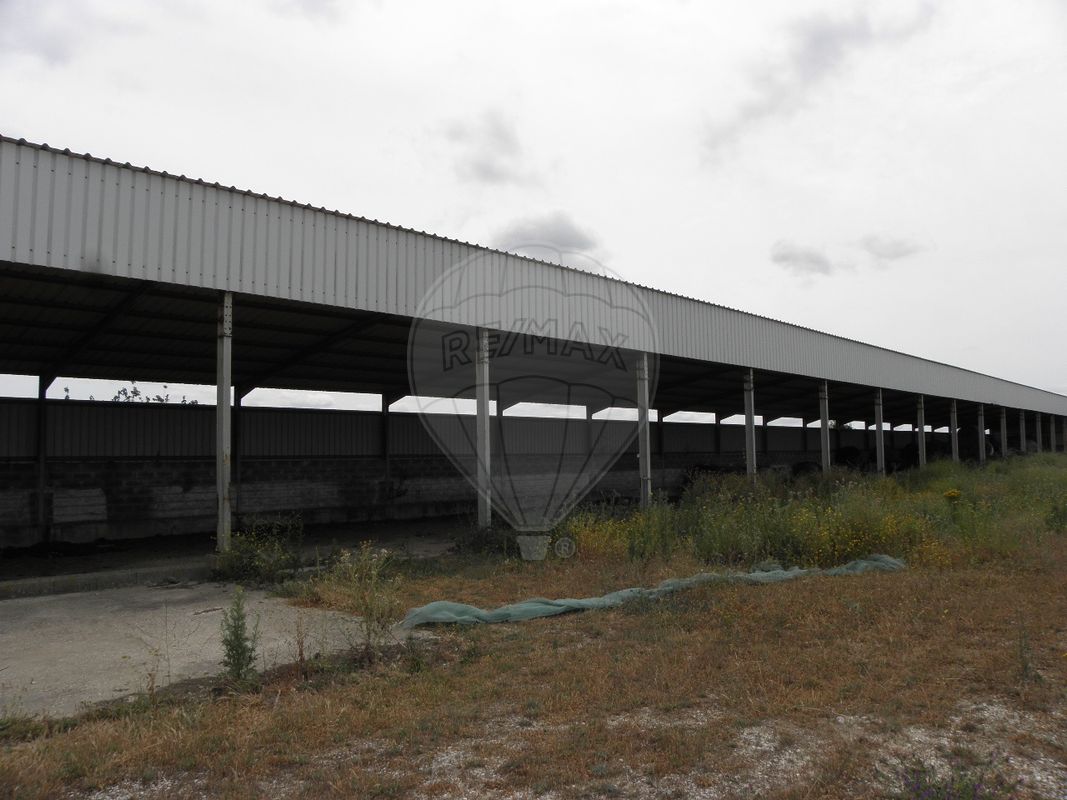 listing-picture-0