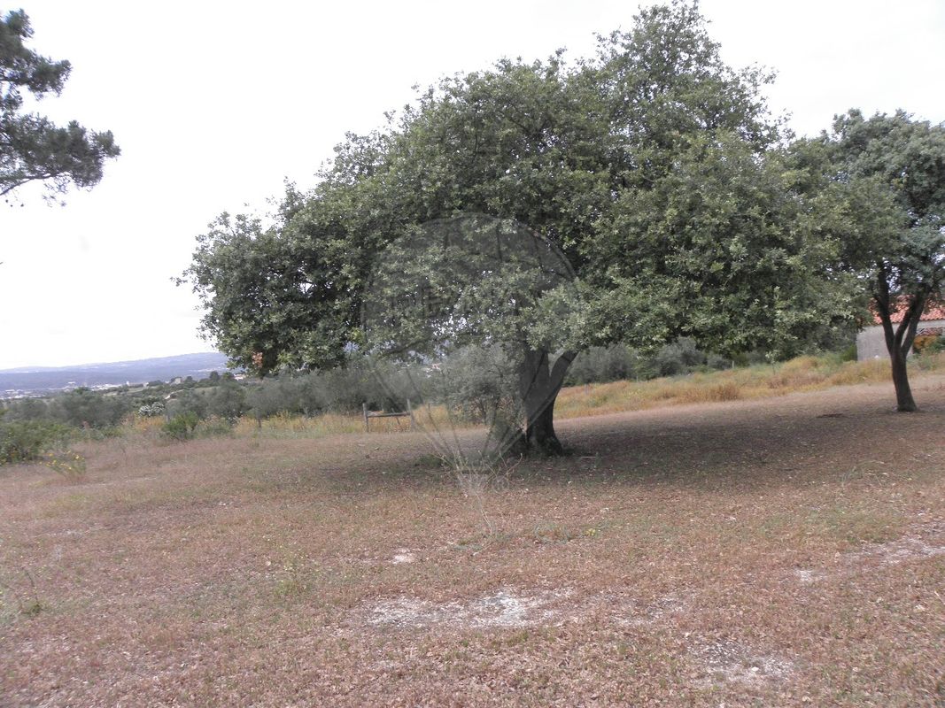 TODO