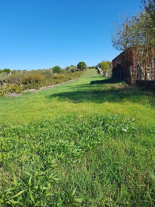 Terreno à venda em Torres Novas