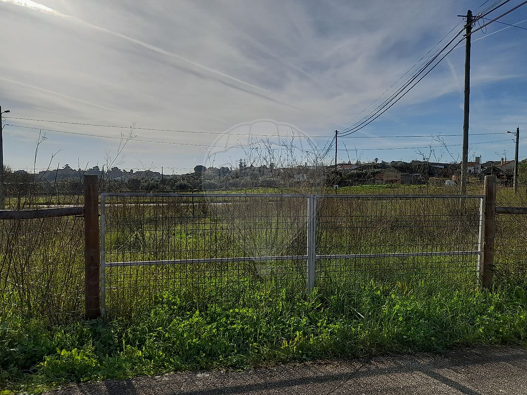 Terreno  à venda em Torres Novas