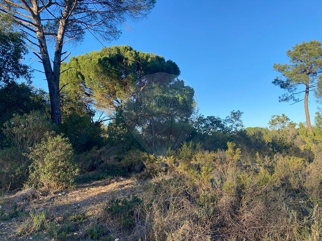 Terreno  à venda em Torres Novas
