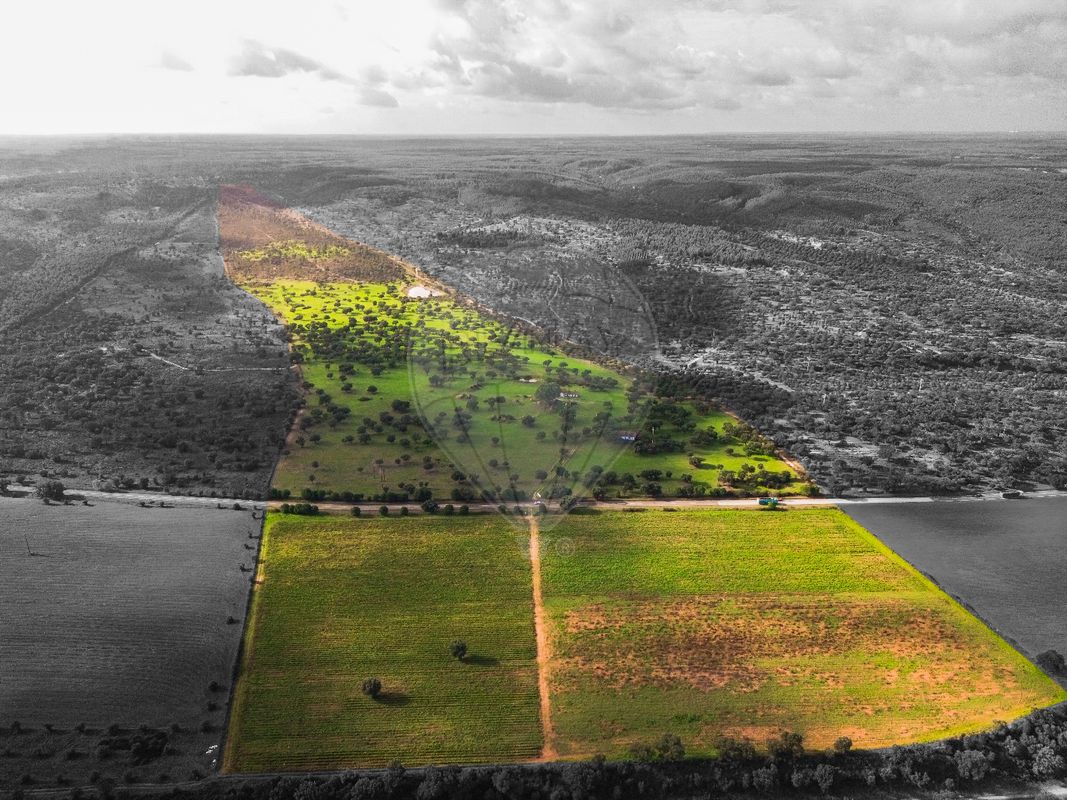 Terreno  para venda