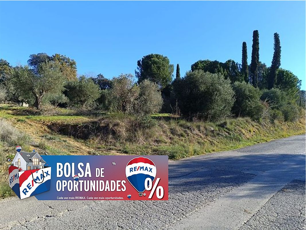 Terreno à venda em Torres Novas