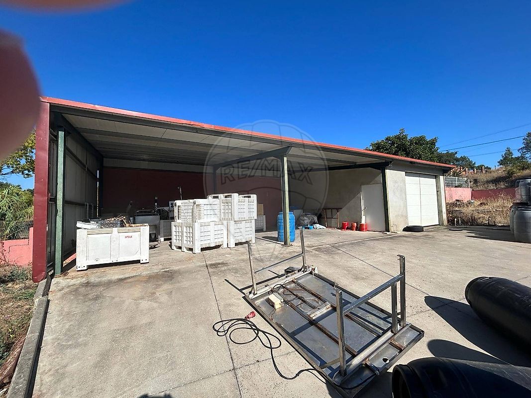 listing-picture-0