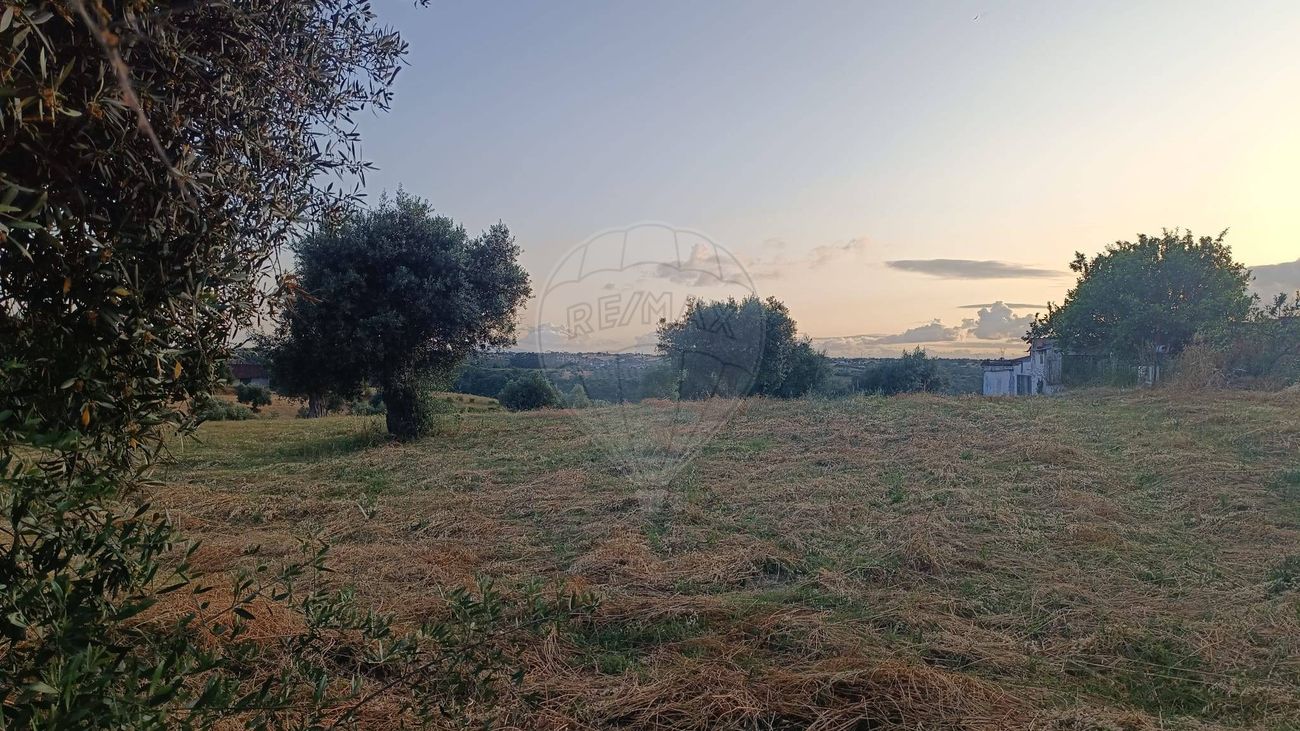 listing 120941079-206 picture-0