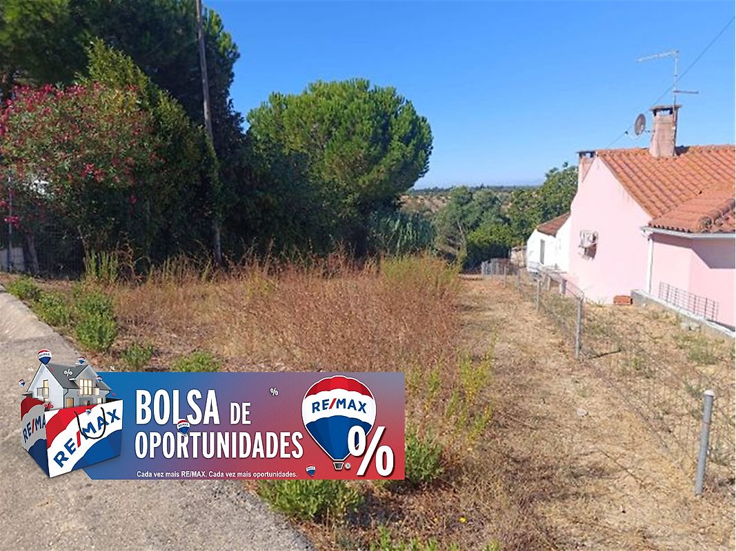 Terreno à venda em Brogueira