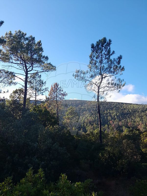 Terreno à venda em Vale da Serra
