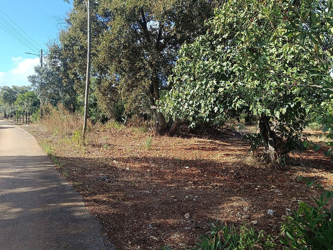 Terreno à venda em Casével