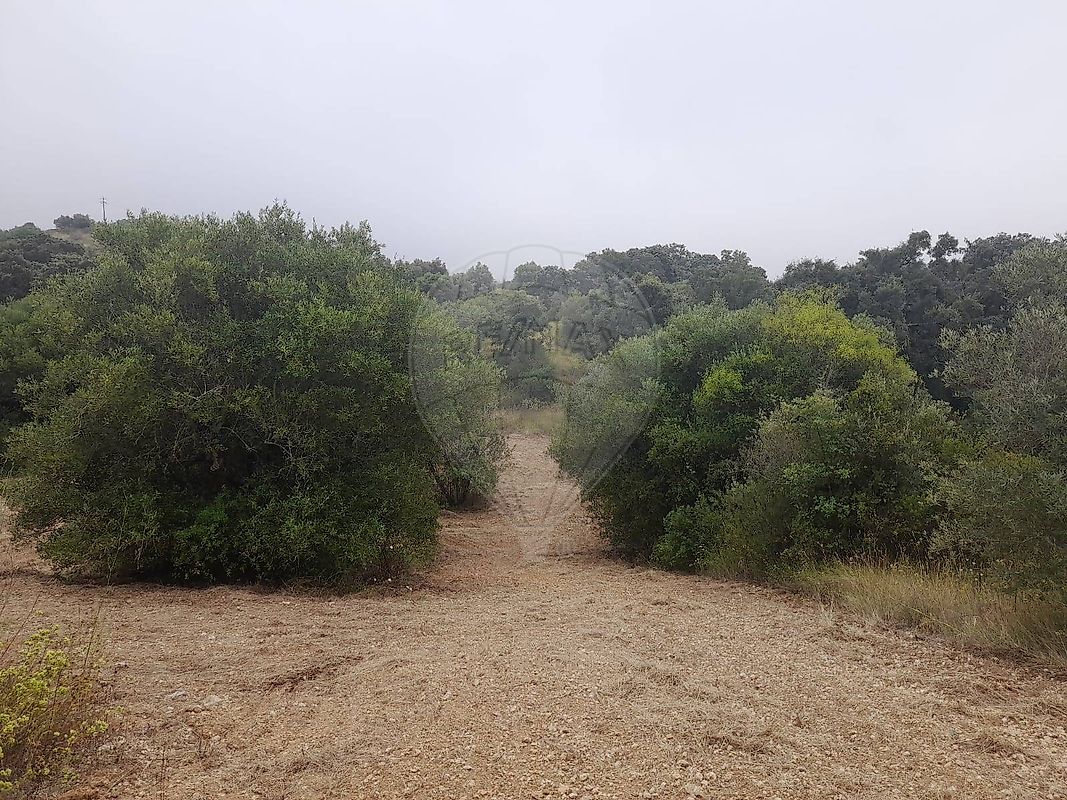 Terreno à venda em Torres Novas