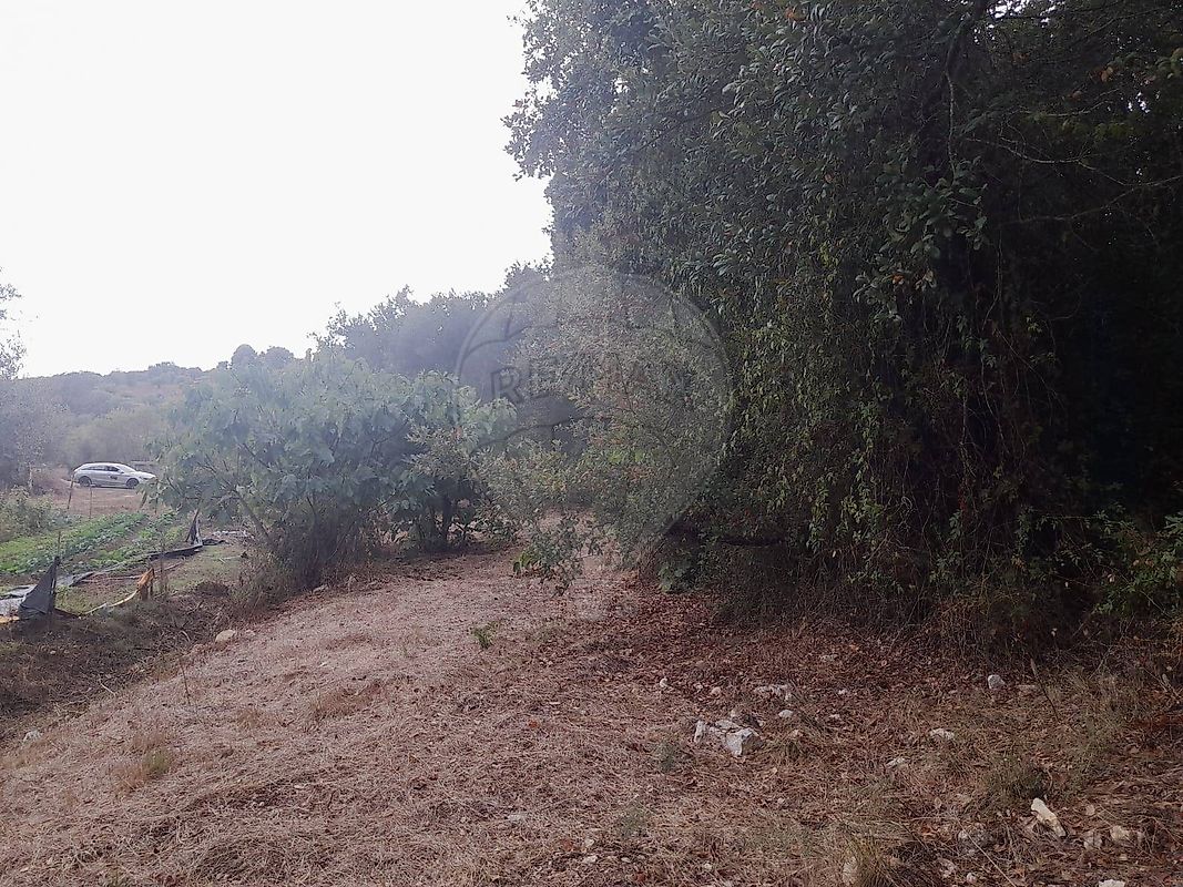 Terreno - Assentiz, Torres Novas, Santarém