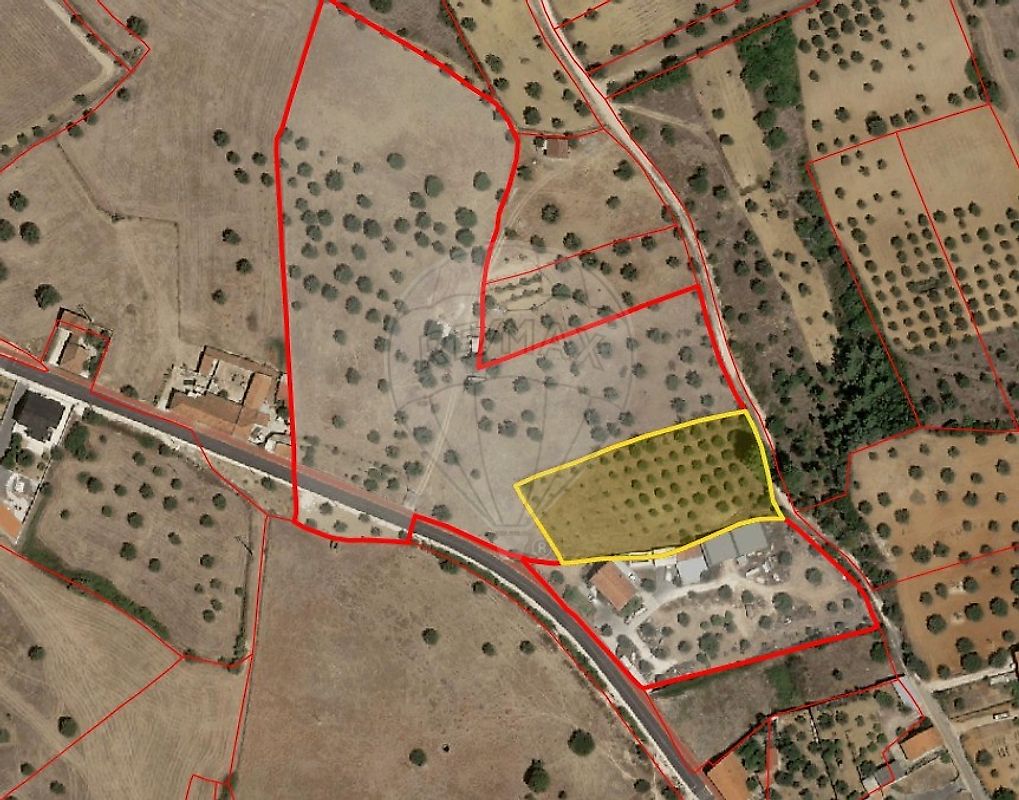 Terreno - Malhou, Louriceira e Espinheiro, Alcanena, Santarém
