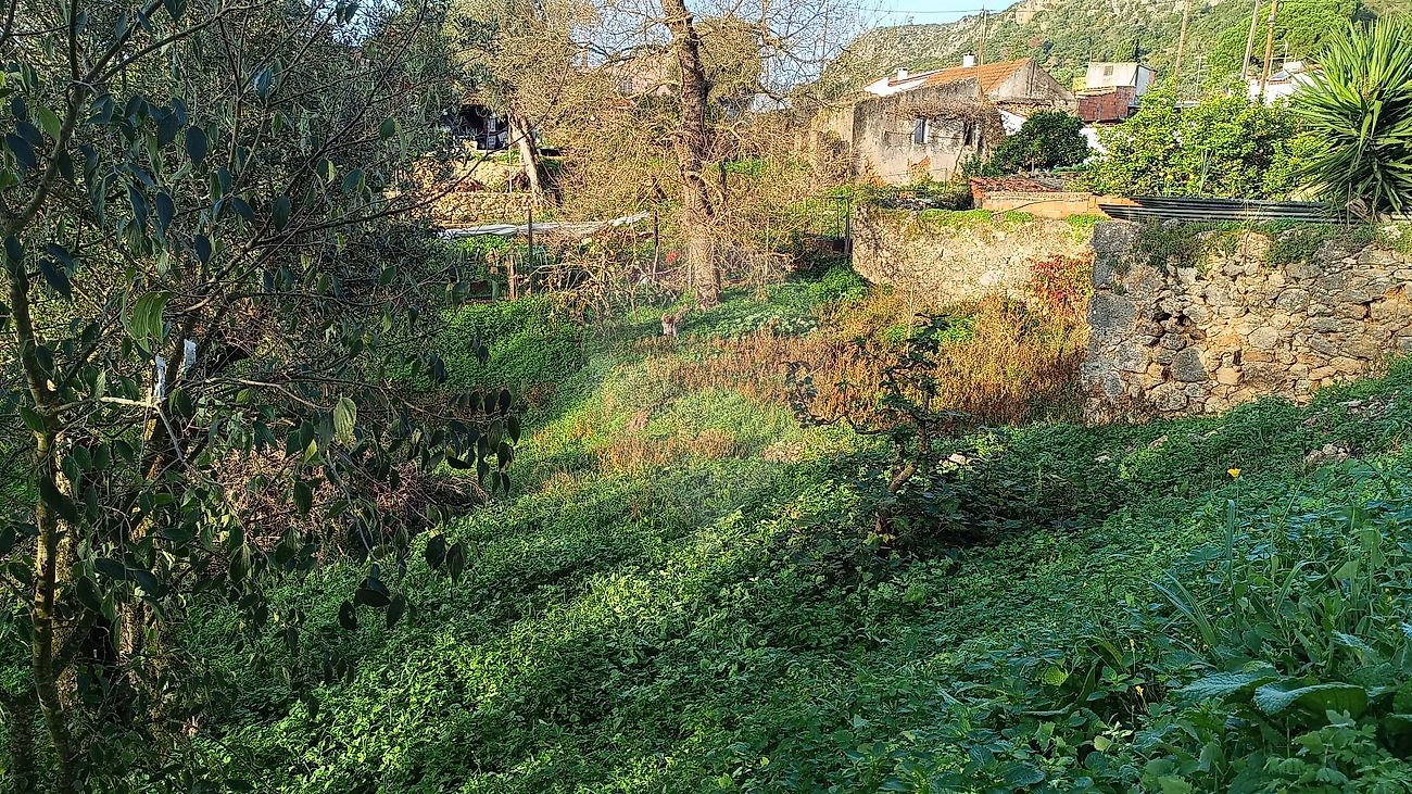Moradia T0 à venda em Zibreira, Torres Novas — foto 12