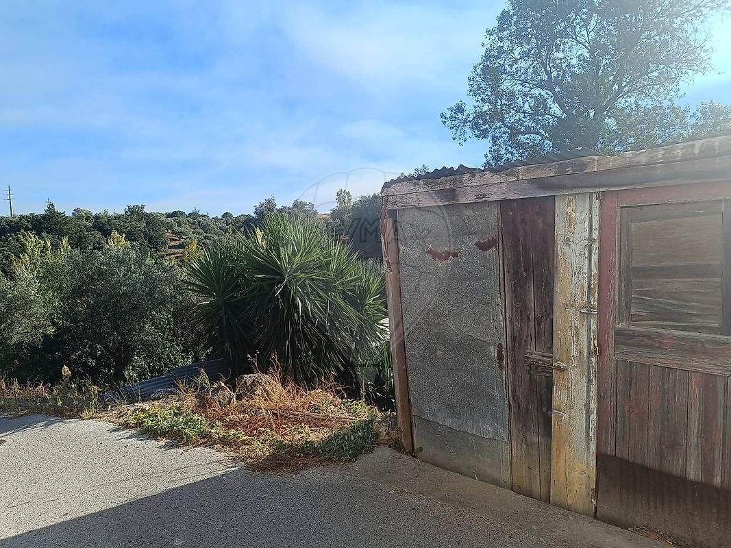 Moradia T0 à venda em Zibreira, Torres Novas — foto 6