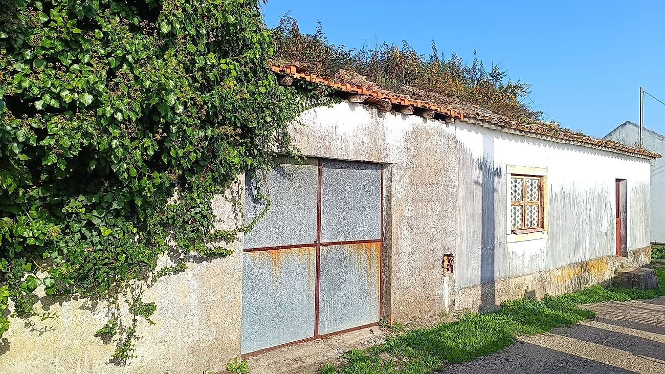 listing 120941079-225 picture-0