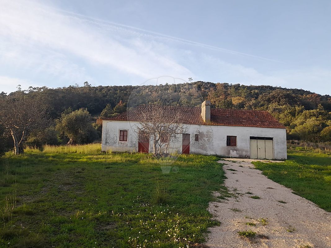 listing-picture-0