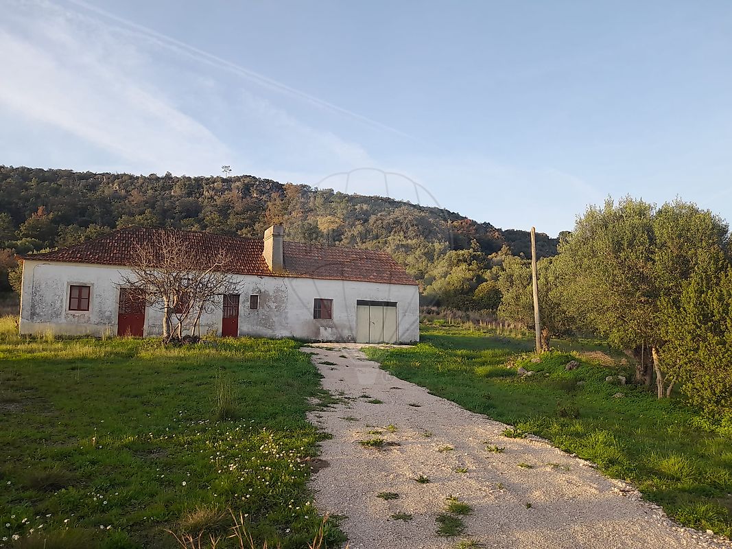 listing-picture-0