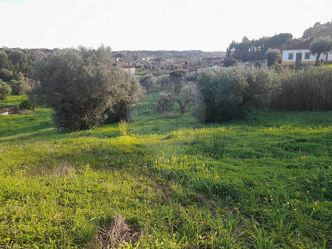 Terreno à venda em Torres Novas