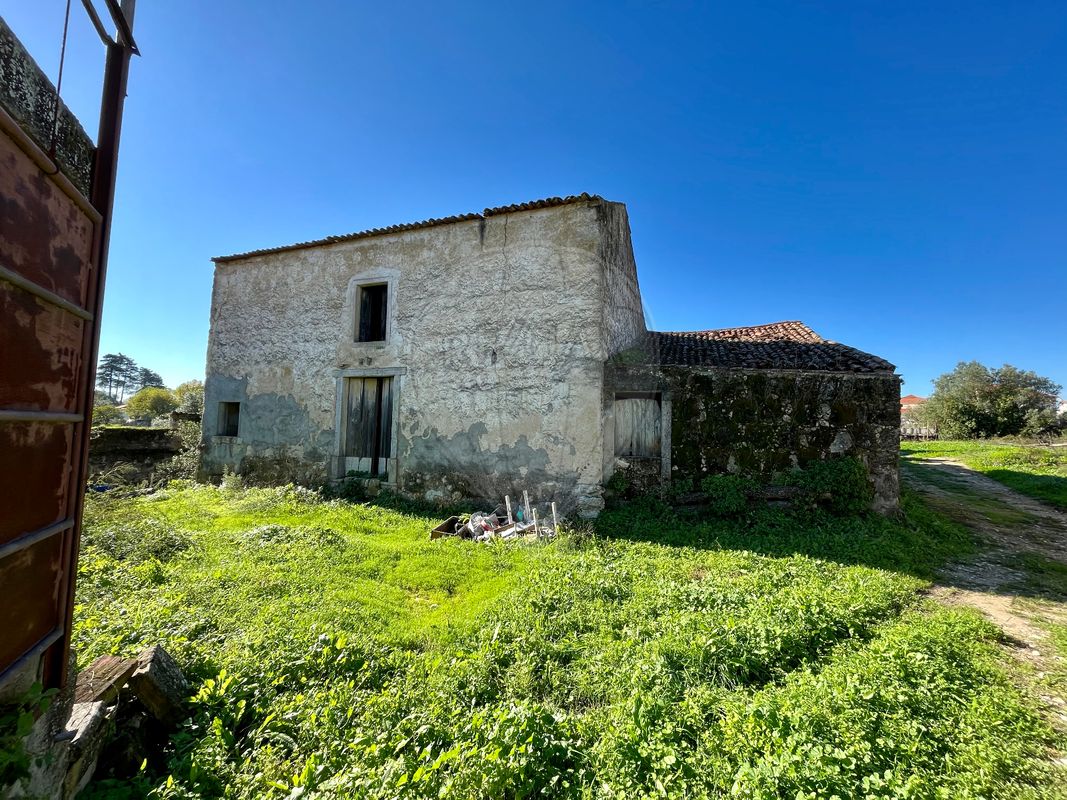 listing-picture-0