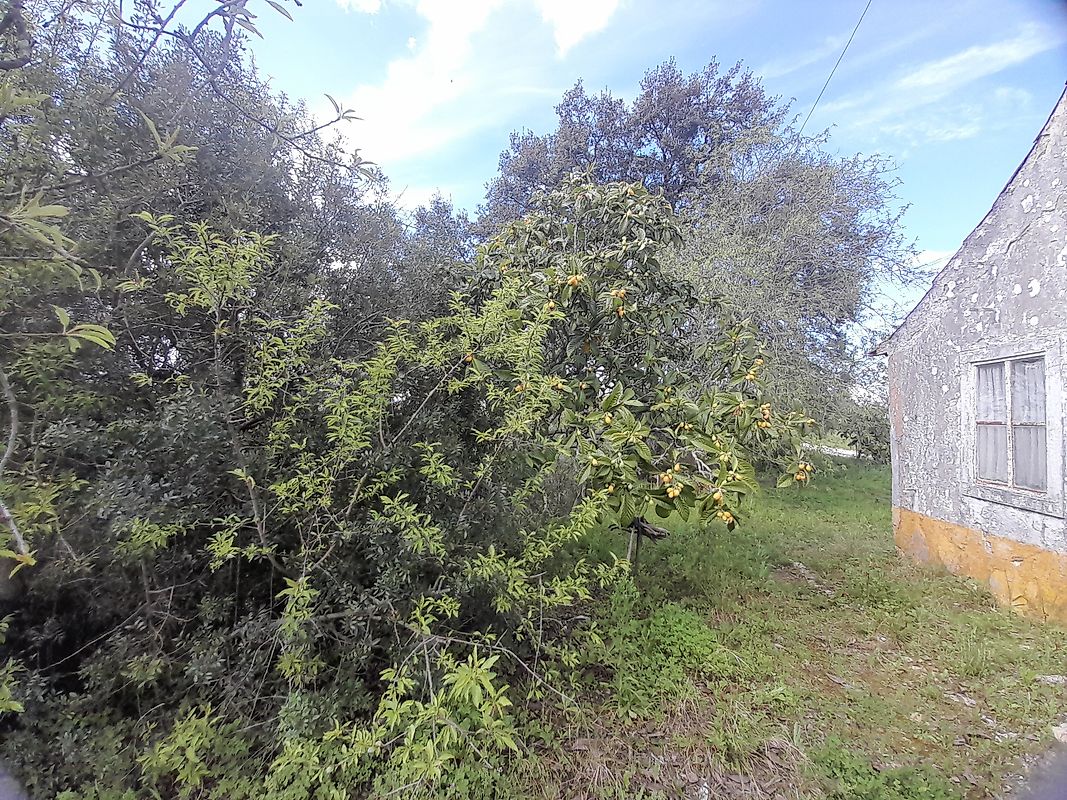Moradia T2 à venda em Casével e Vaqueiros, Santarém — foto 17
