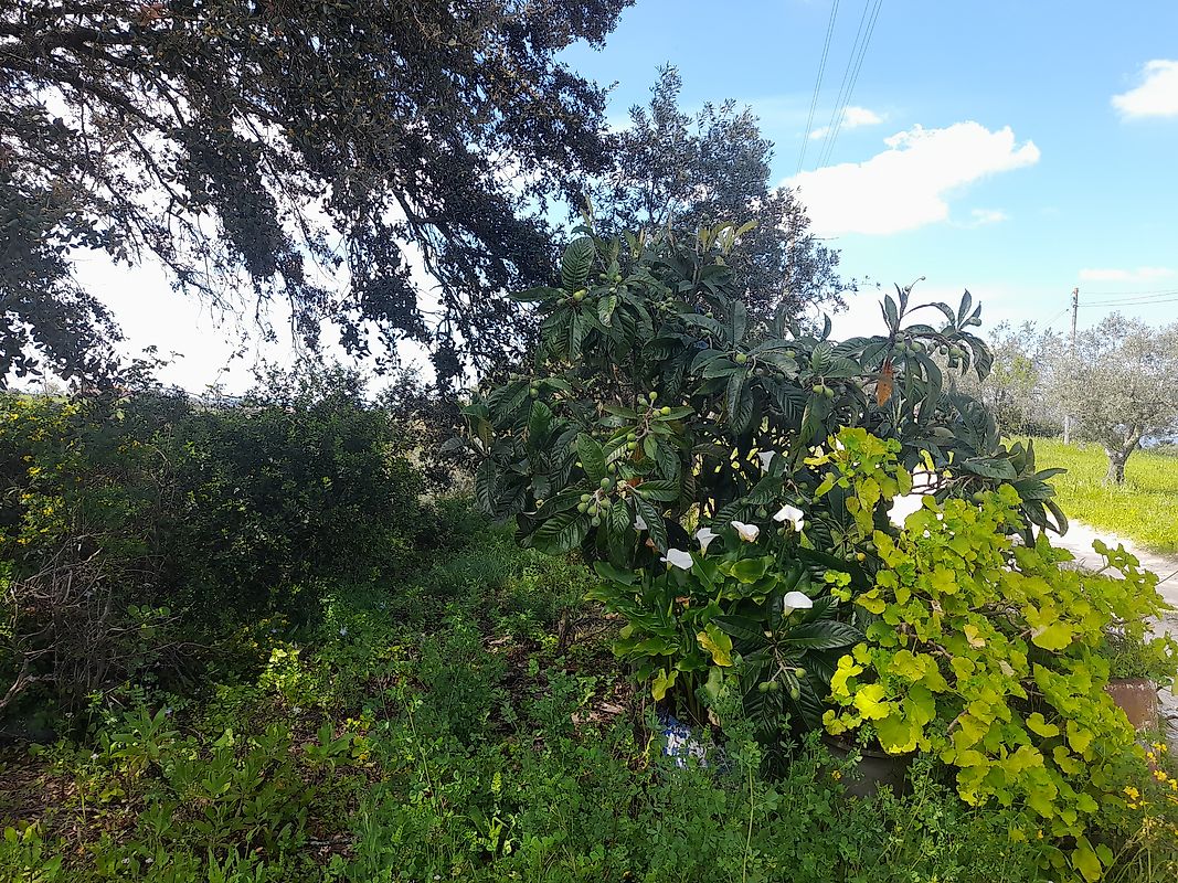 Moradia T2 à venda em Casével e Vaqueiros, Santarém — foto 19
