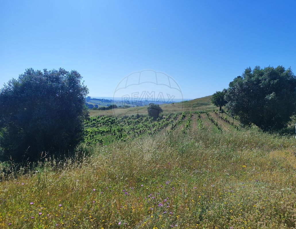 Terreno para venda