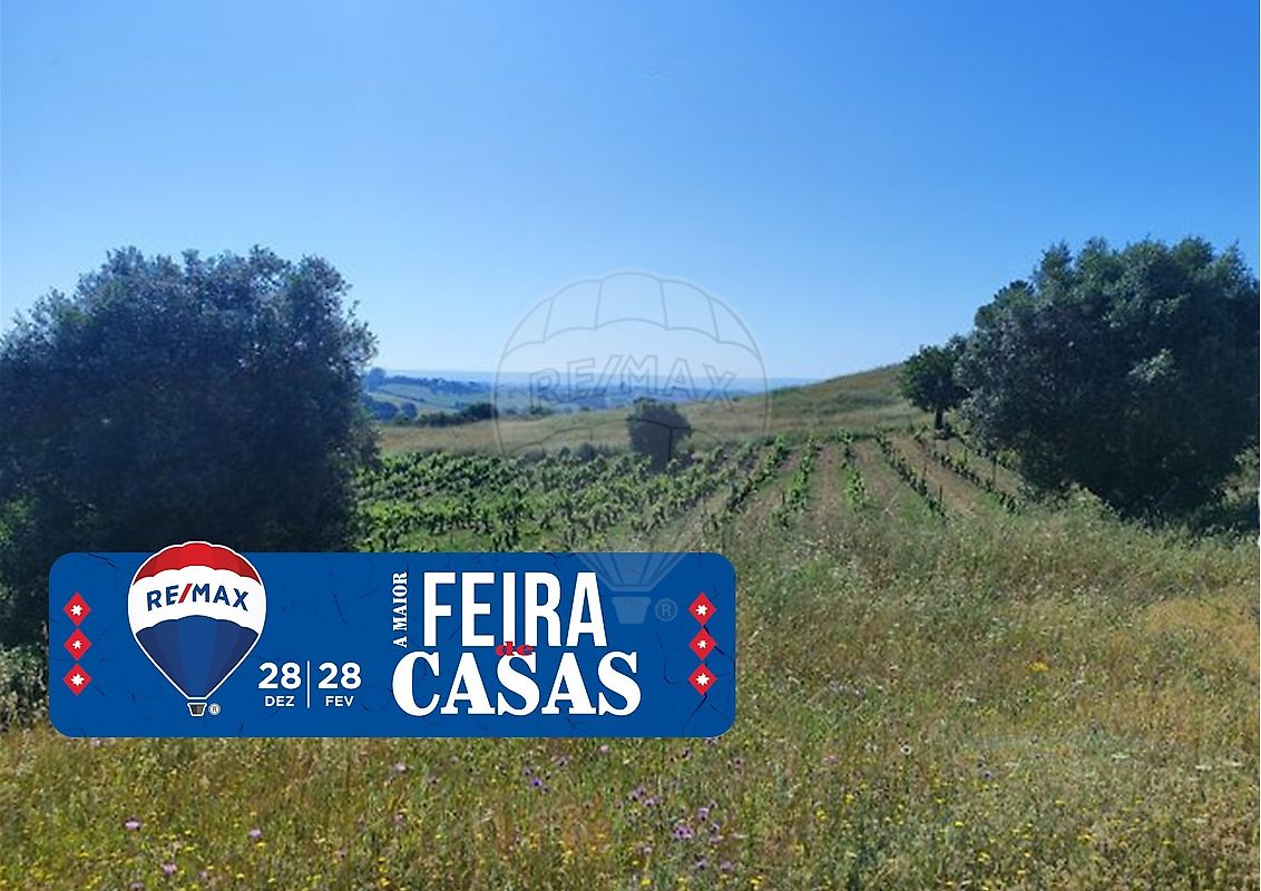 Terreno - Brogueira, Parceiros de Igreja e Alcorochel, Torres Novas, Santarém