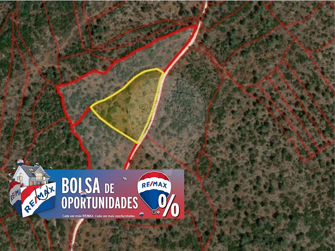 Terreno - Pedrógão, Torres Novas, Santarém