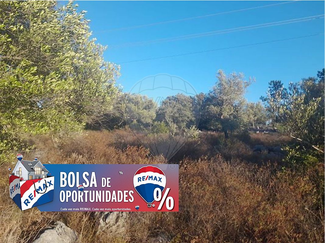 Terreno  para venda