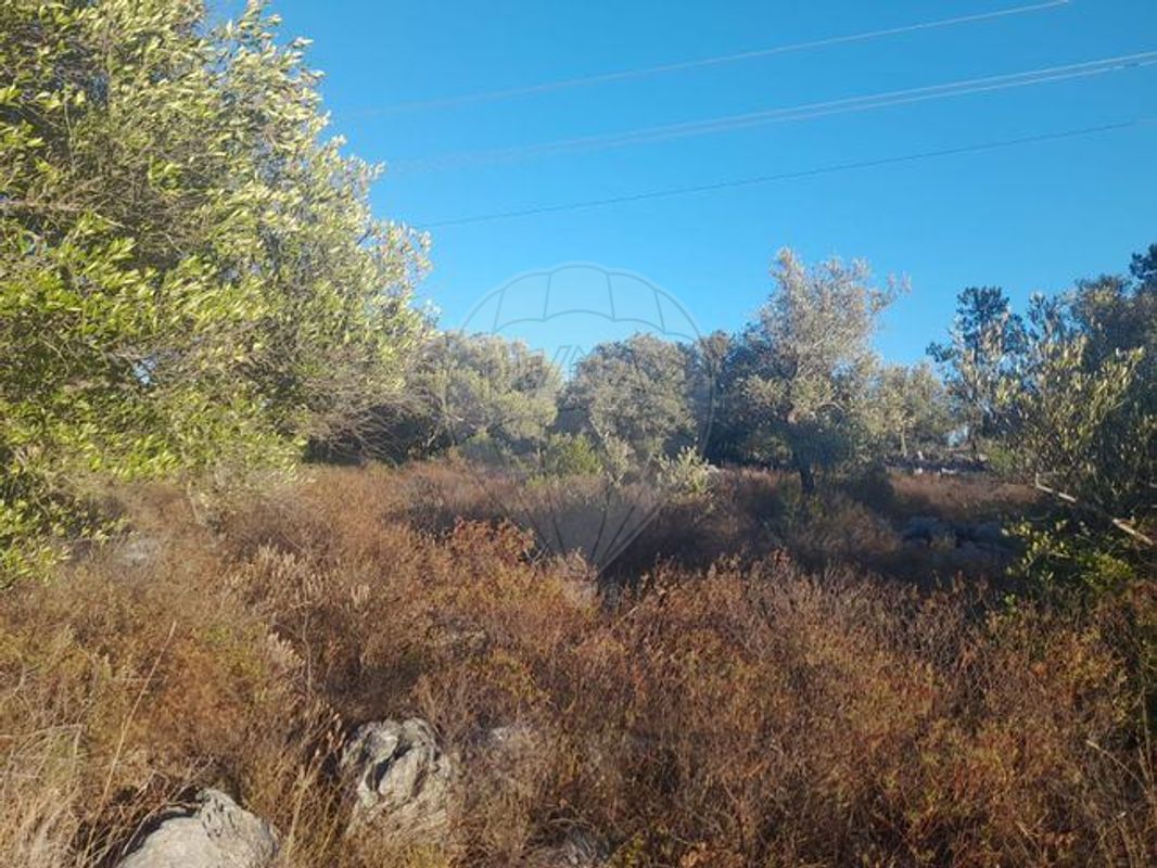 Terreno para venda