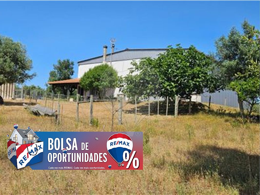 Terreno - Malhou, Louriceira e Espinheiro, Alcanena, Santarém
