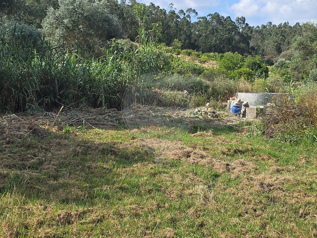 Terreno para venda
