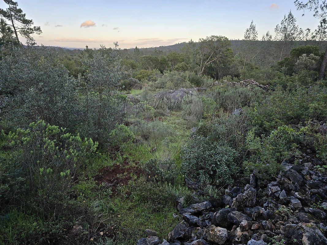 Terreno para venda