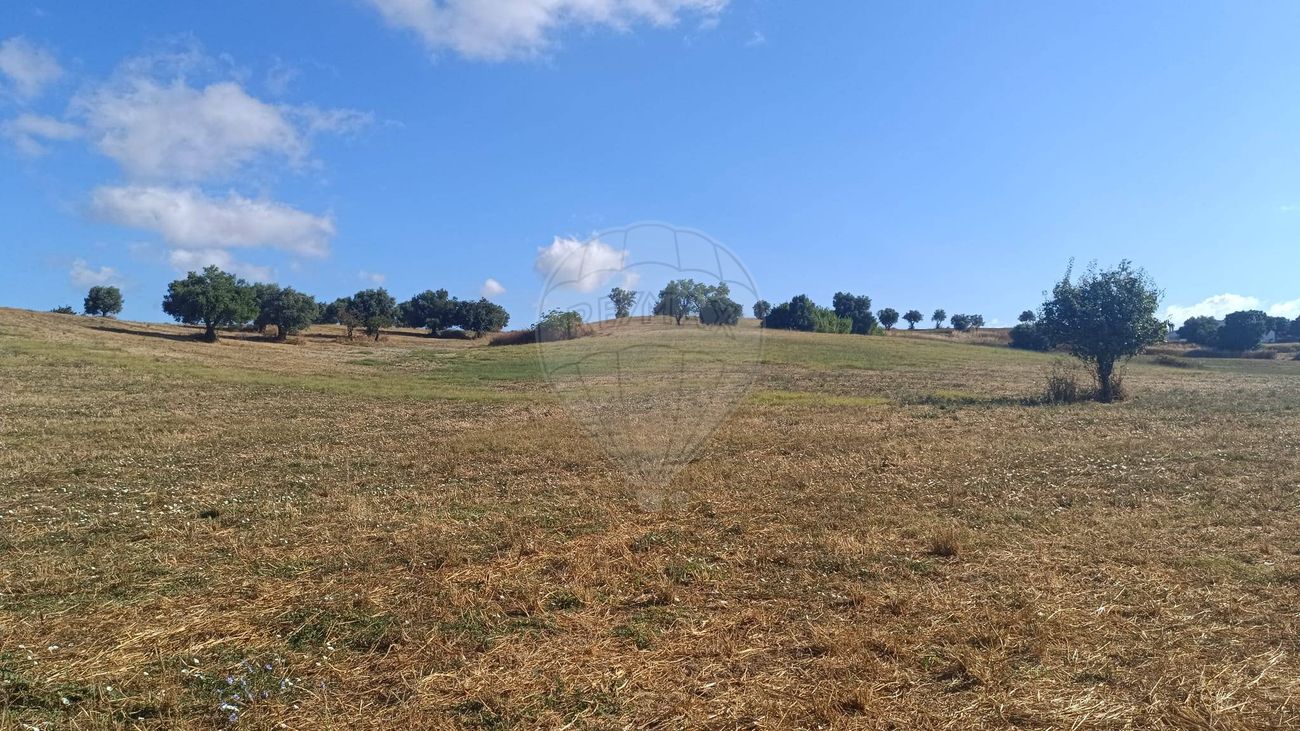 Terreno para venda