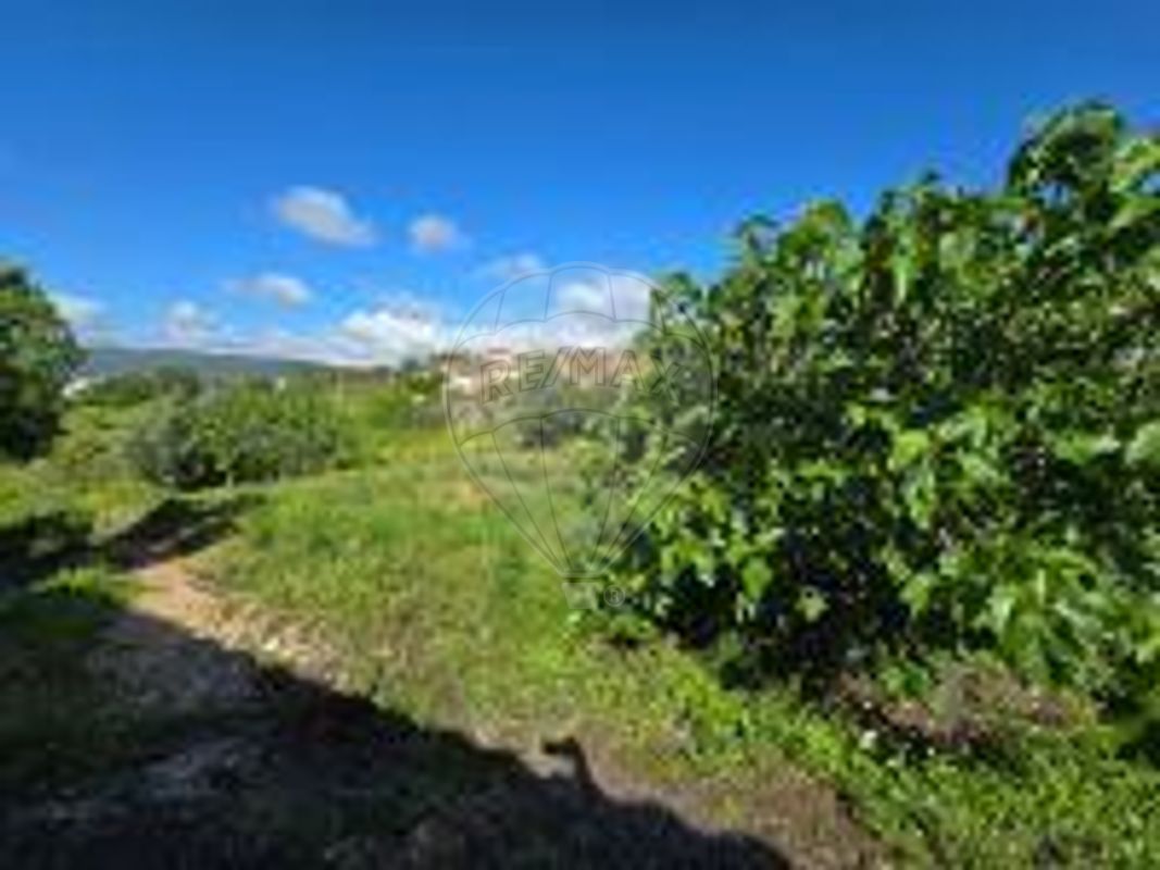 Terreno para venda