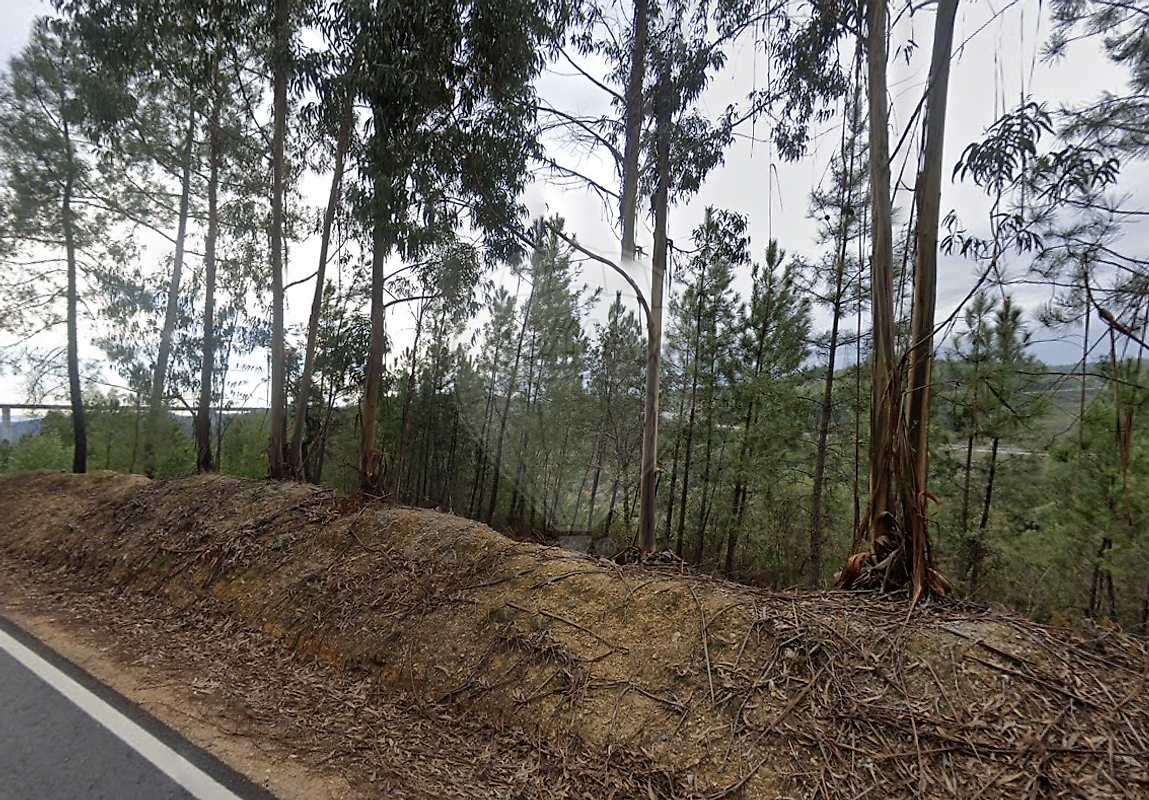 Terreno para venda