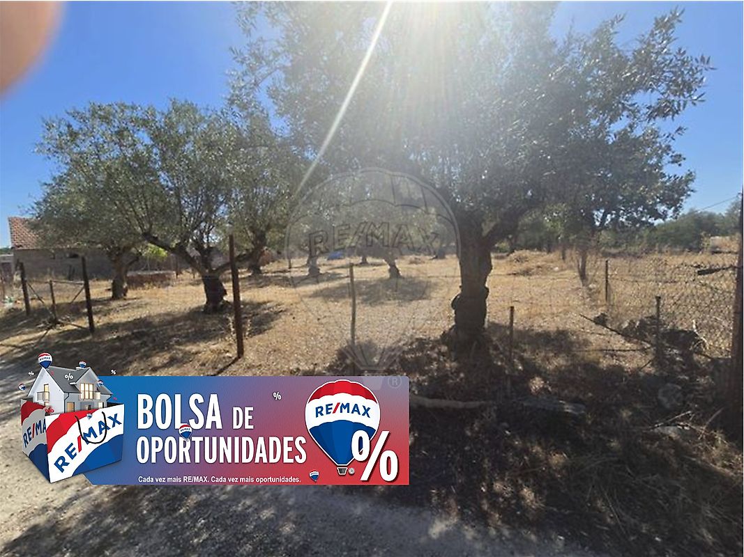 Terreno - Bugalhos, Alcanena, Santarém