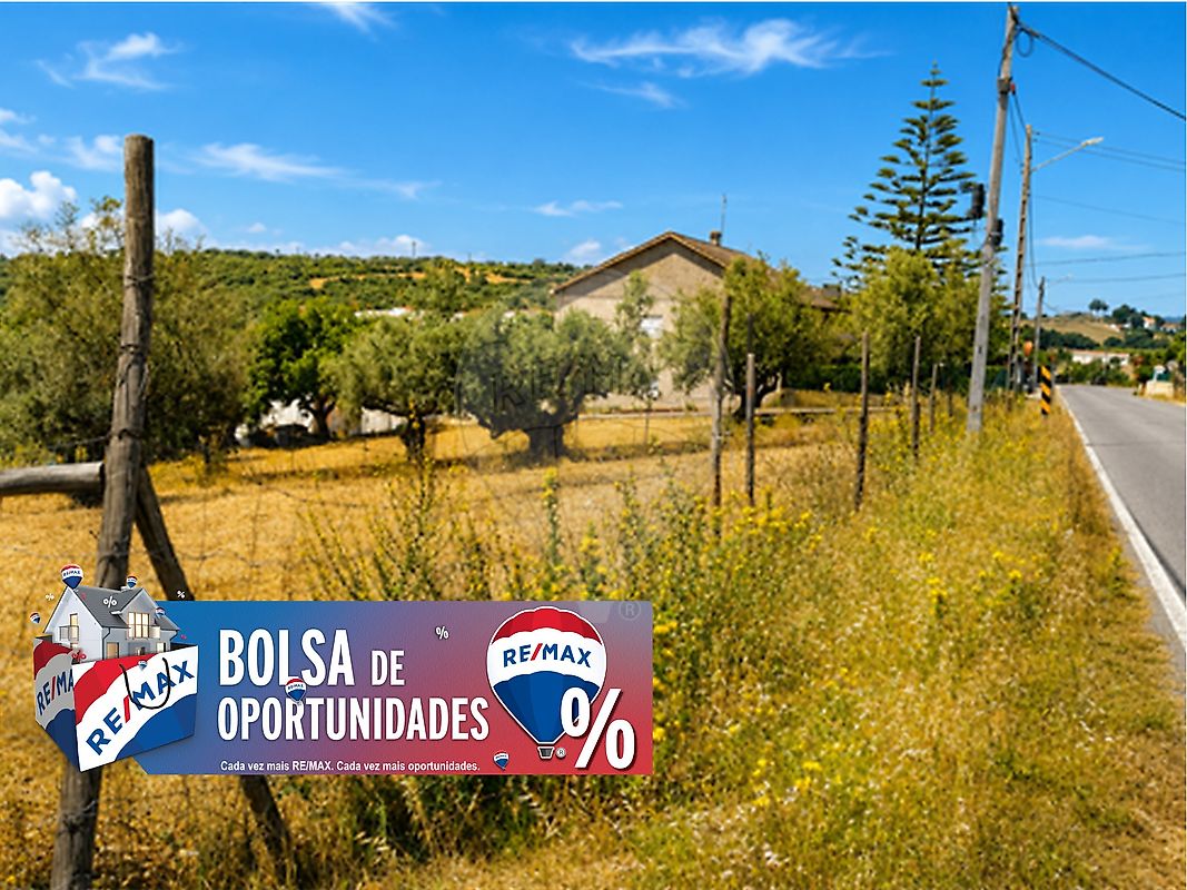 Terreno - Monsanto, Alcanena, Santarém