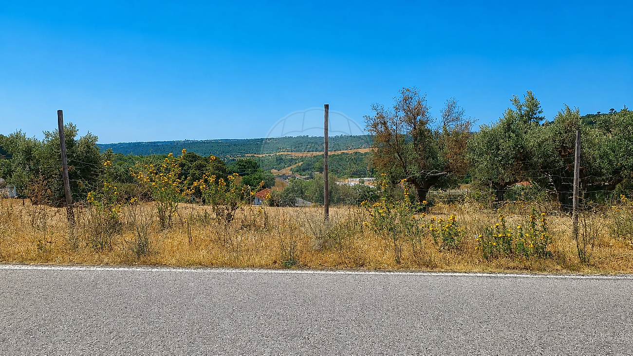 Terreno - Monsanto, Alcanena, Santarém