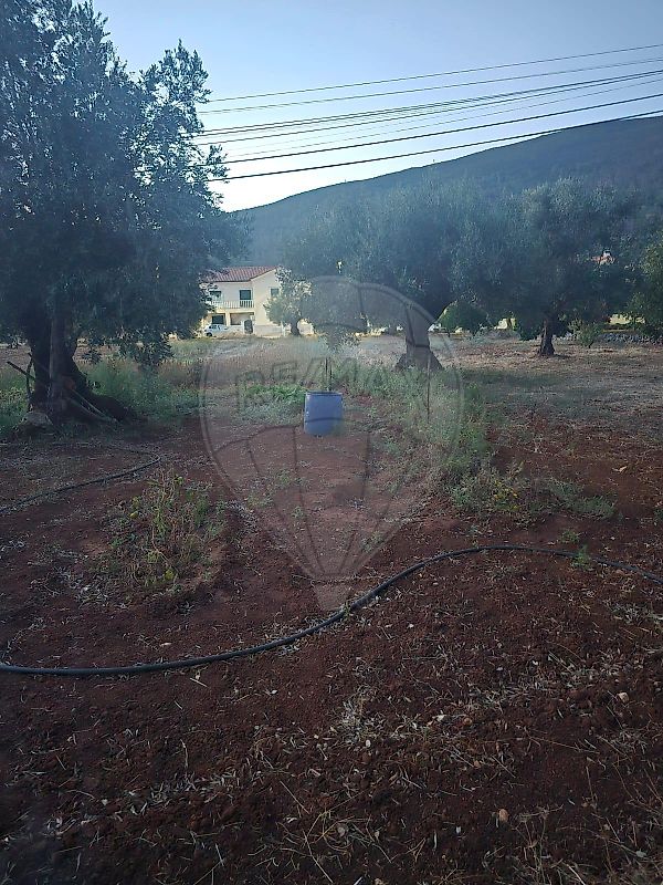 Terreno  para venda