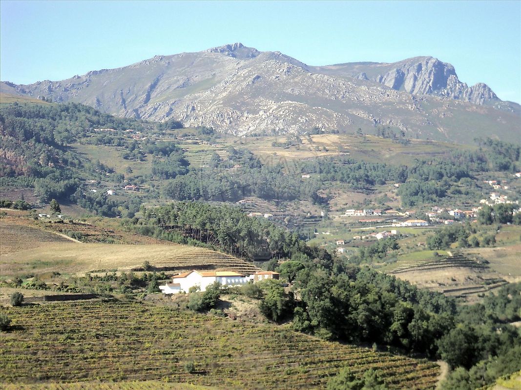 Terreno  para venda
